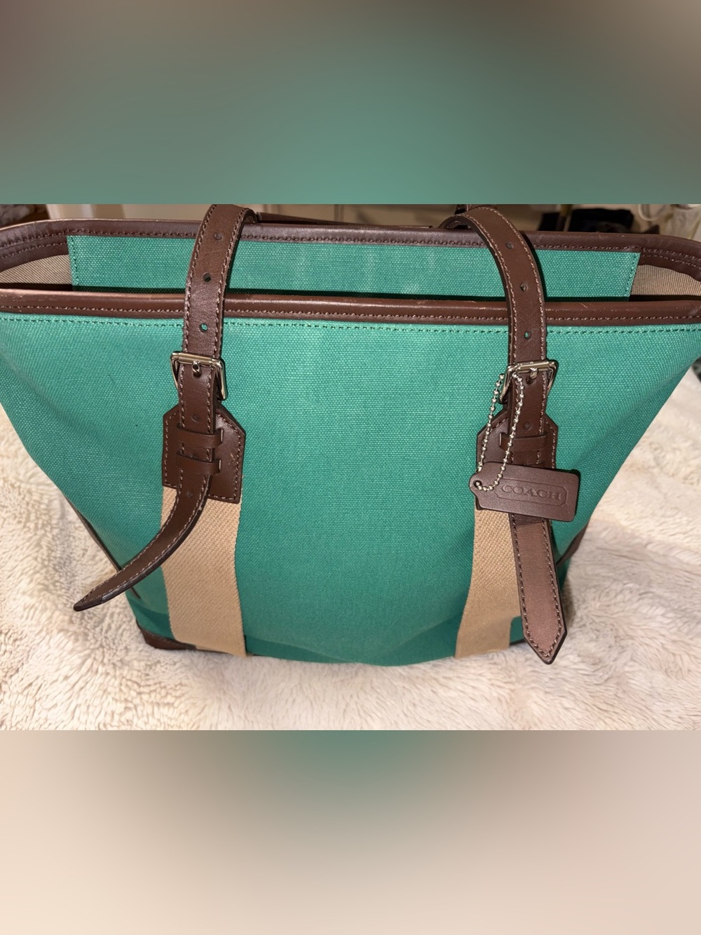COACH BLEECKER CITY TOTE
